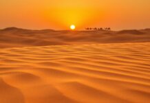 Marokko en zuid-afrika: cultuur, avontuur en culinaire verwennerij